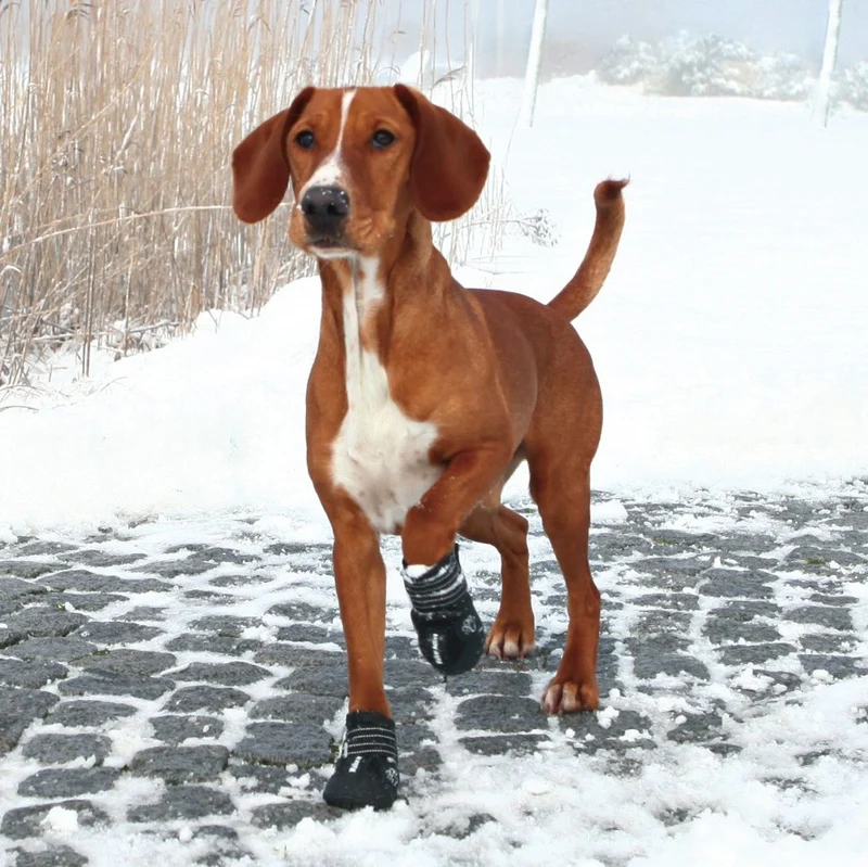 Bottes de protection Walker Active