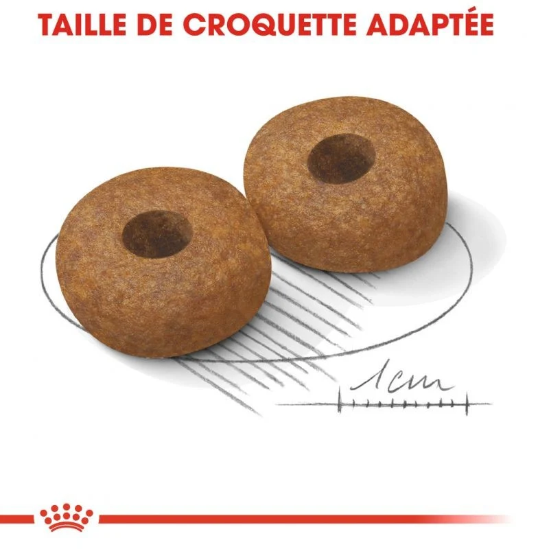 Royal Canin Medium Ageing 10+