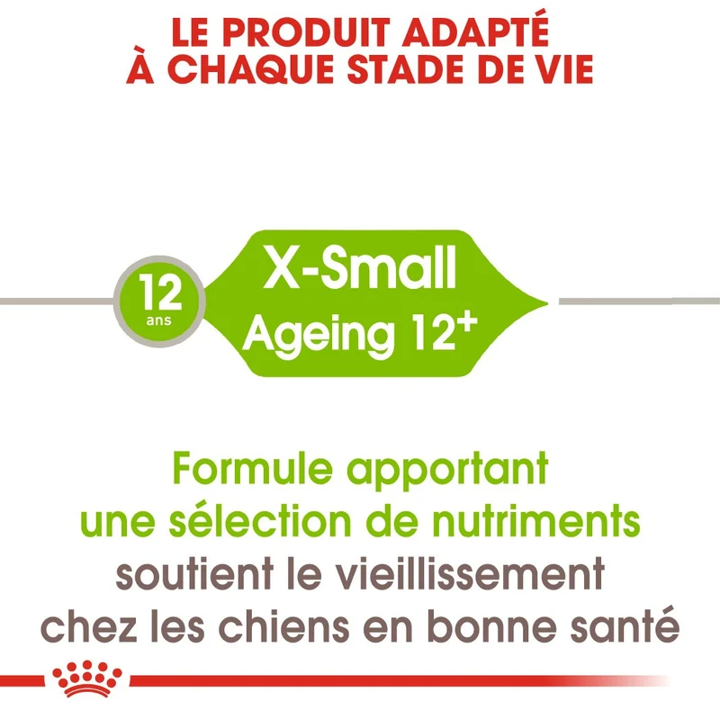Royal Canin X-Small Ageing 12