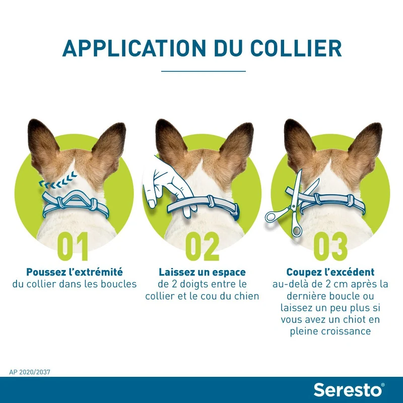 Collier antiparasitaire Seresto chien
