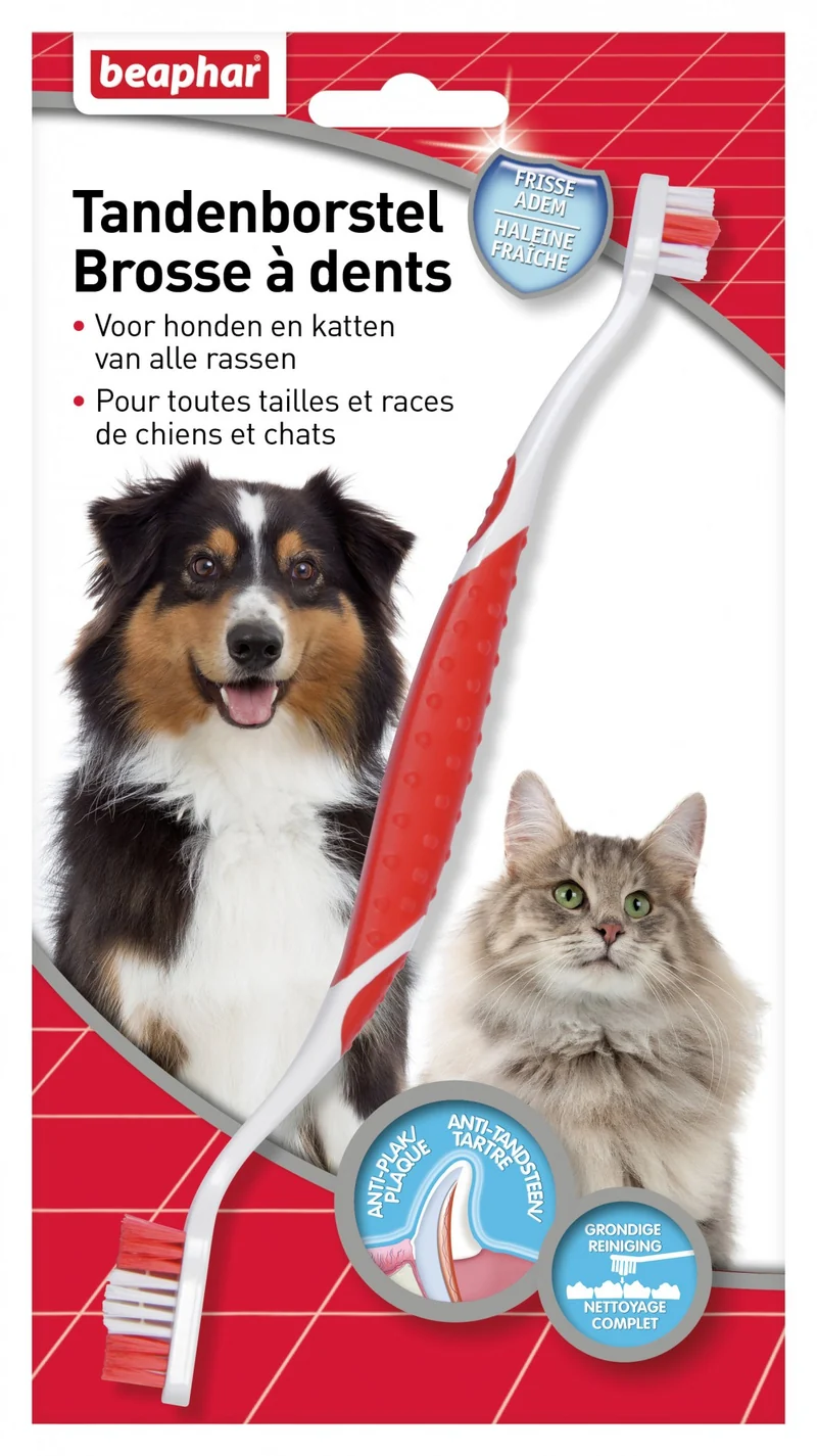 Brosse Carde Auto Nettoyante