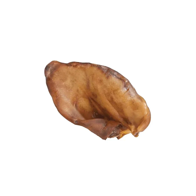 Oreille de cochon XXL Gigantesque – Les Disgracieux®