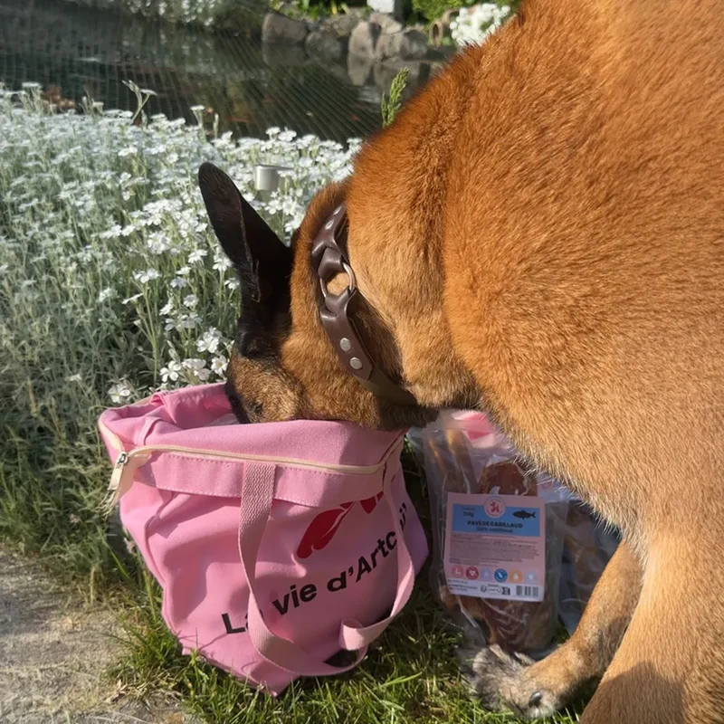 Tote bag A PET STORE – Sac en toile zippé rose avec poche intérieure