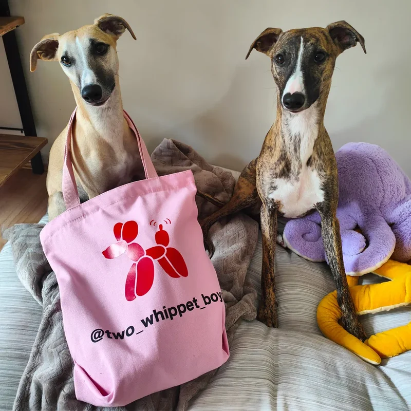 Tote bag A PET STORE – Sac en toile zippé rose avec poche intérieure