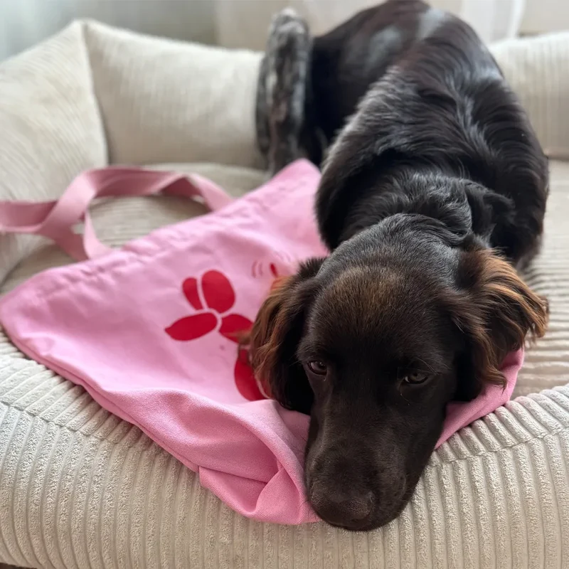 Tote bag A PET STORE – Sac en toile zippé rose avec poche intérieure