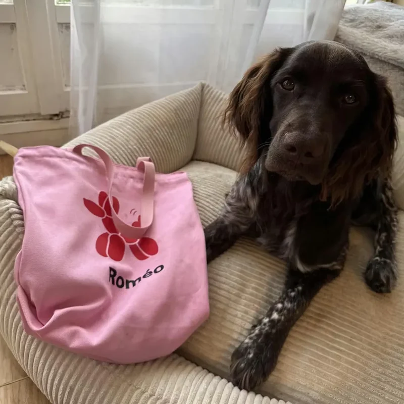 Tote bag A PET STORE – Sac en toile zippé rose avec poche intérieure