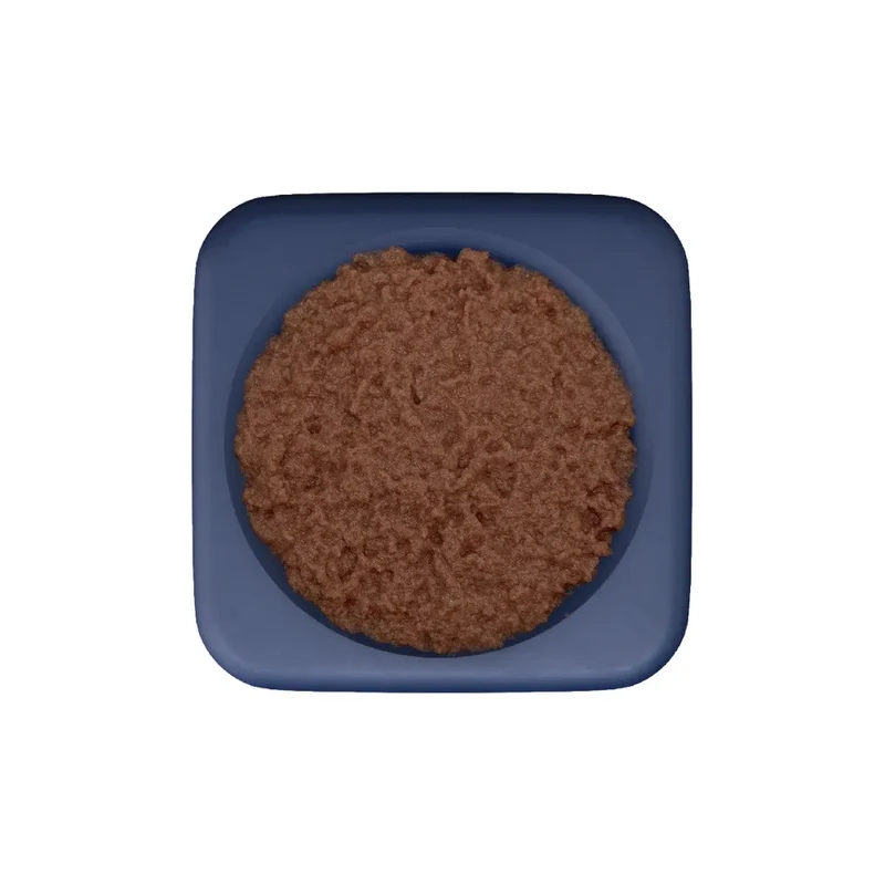 Freezbox – Distributeur de friandises à congeler pour chien – Freezbone