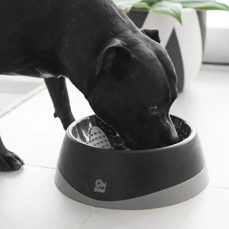 Lickimat OH Bowl – Gamelle à lécher pour chien – S, M et L