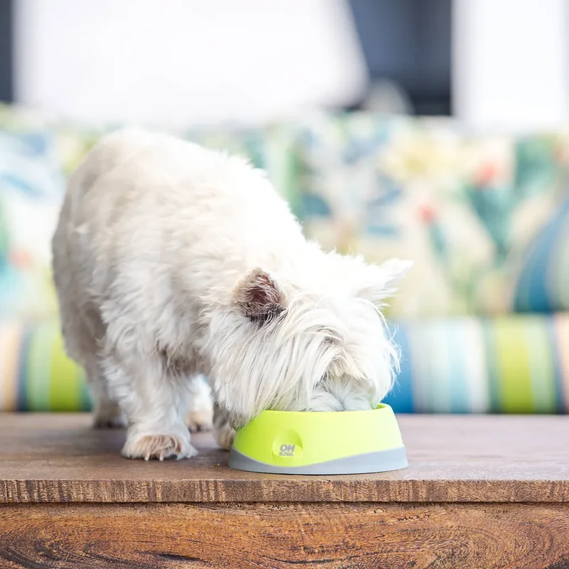 Lickimat OH Bowl – Gamelle à lécher pour chien – S, M et L