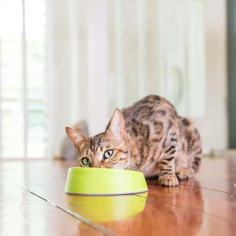 Lickimat OH Bowl – Gamelle à lécher pour chat