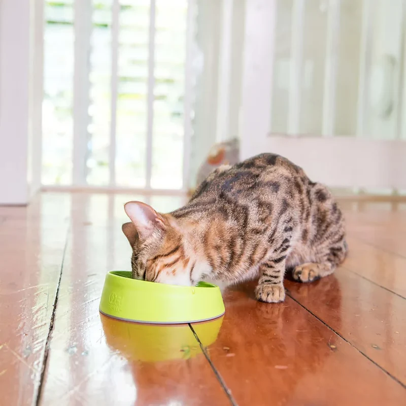 Lickimat OH Bowl – Gamelle à lécher pour chat