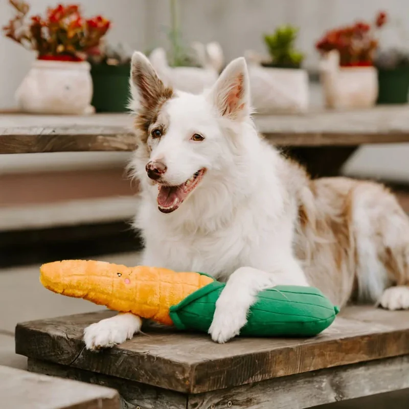 Peluche Maïs – Peluche XXL pour chien – Jigglerz® Corn 🌽