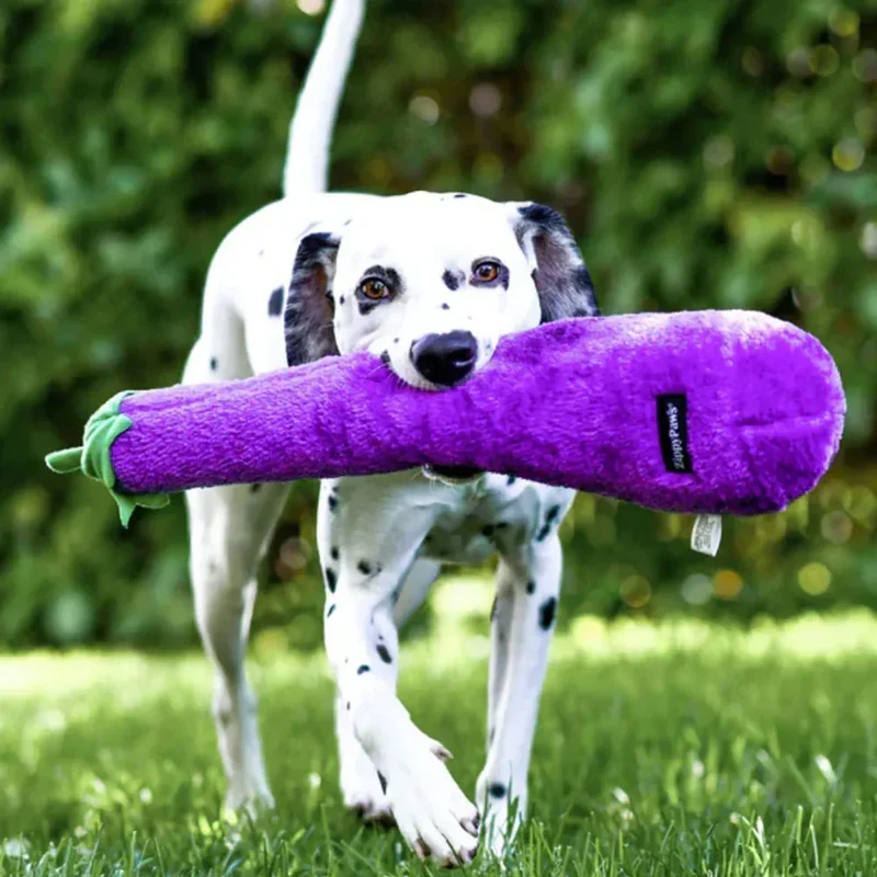 Peluche Aubergine – Peluche XXL pour chien – Jigglerz® Eggplant 🍆