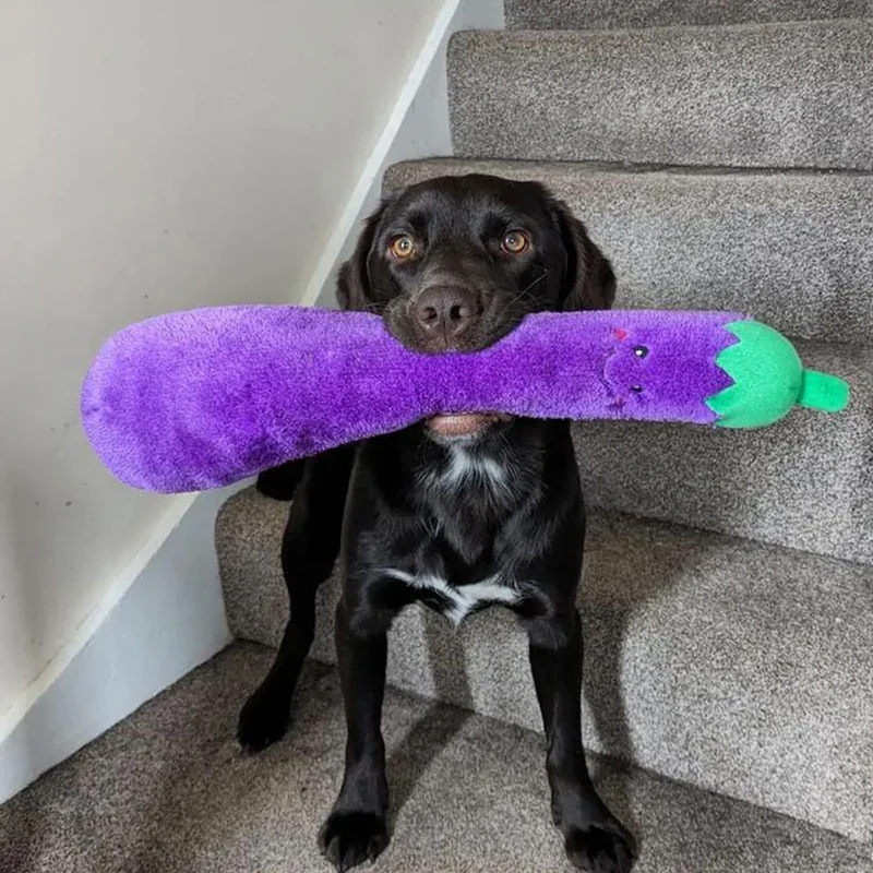 Peluche Aubergine – Peluche XXL pour chien – Jigglerz® Eggplant 🍆