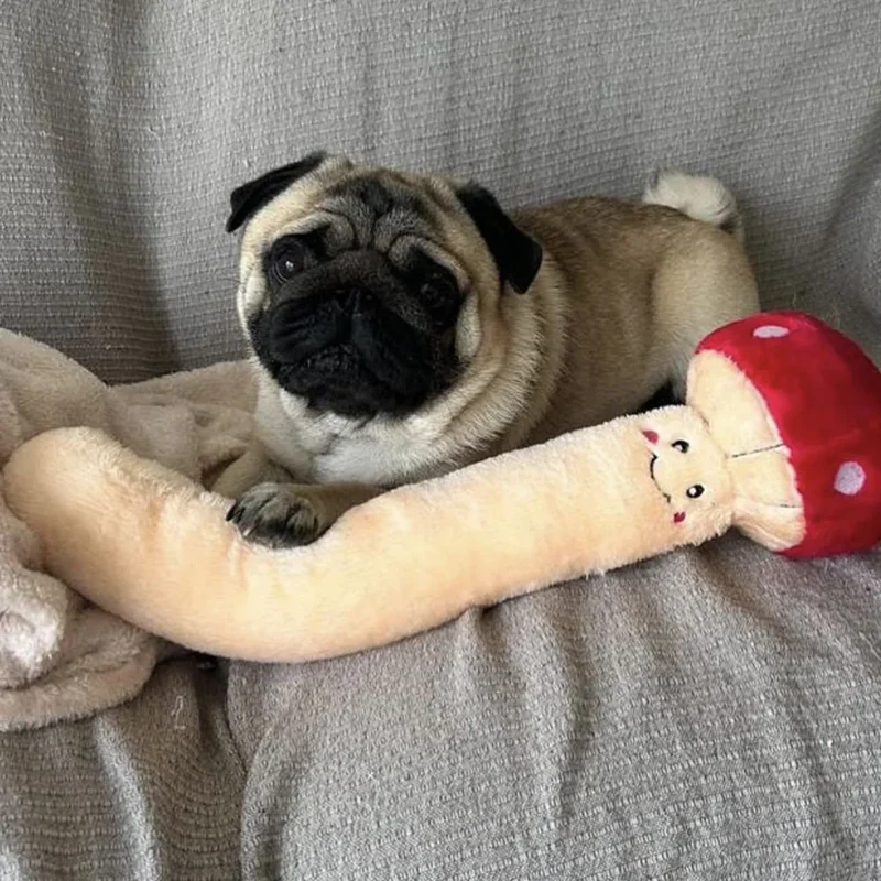 Peluche Champignon – Peluche XXL pour chien – Jigglerz® Mushroom 🍄