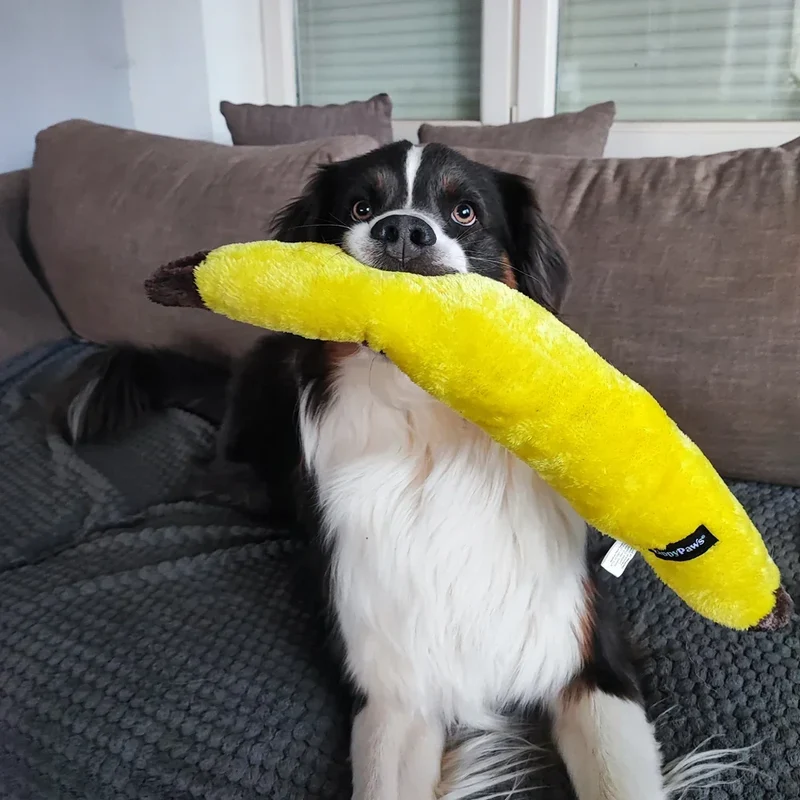 Peluche Banane – Peluche XXL pour chien – Jigglerz® Banana 🍌