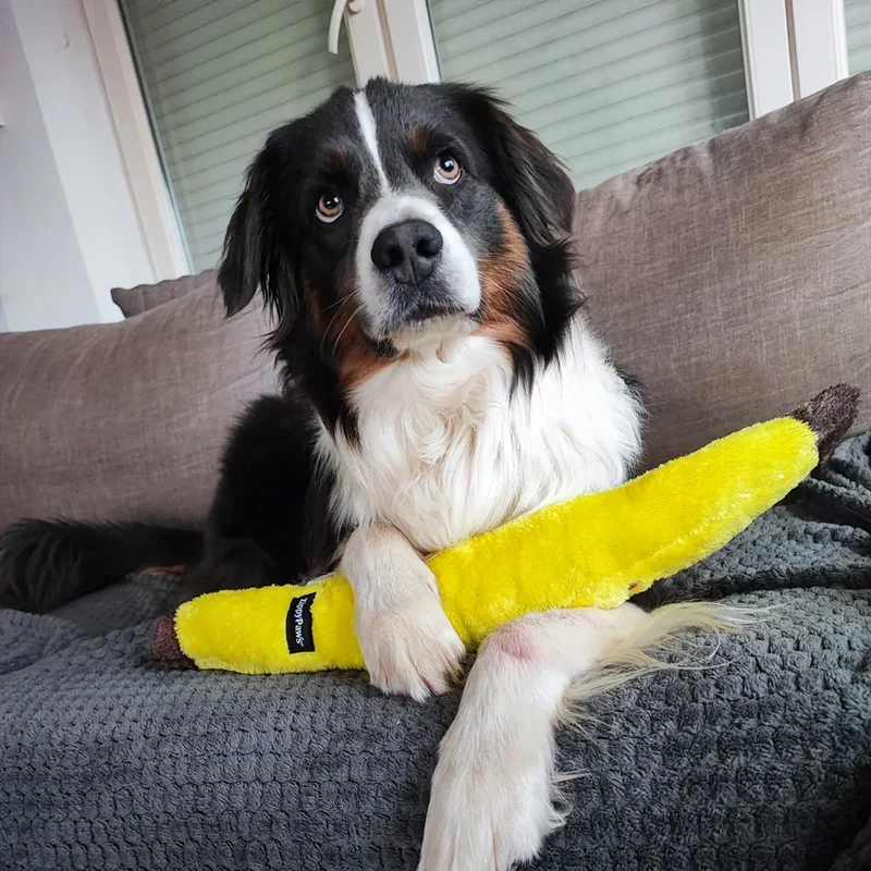 Peluche Banane – Peluche XXL pour chien – Jigglerz® Banana 🍌