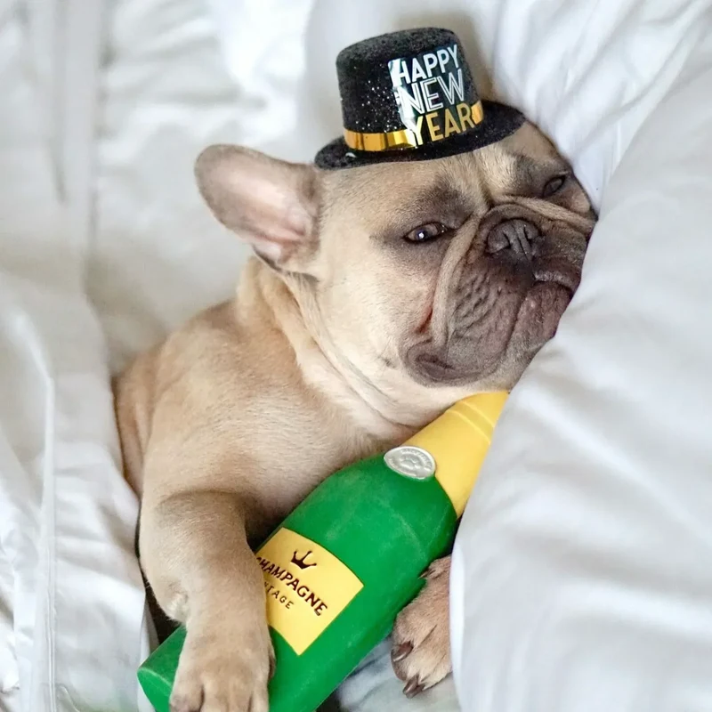 Peluche Champagne pour chien 🍾 – Happy Hour Crusherz – ZippyPaws