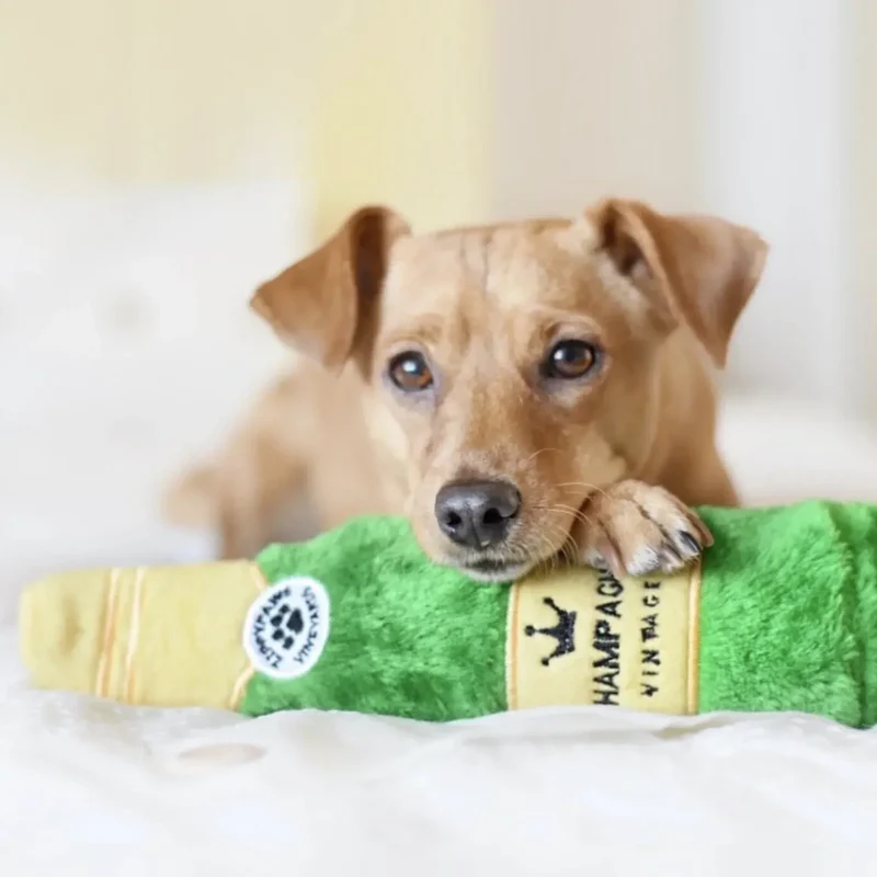 Peluche Champagne pour chien 🍾 – Happy Hour Crusherz – ZippyPaws