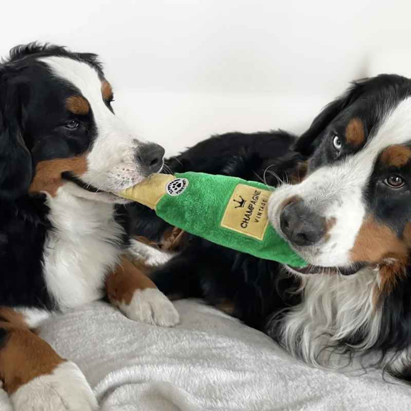 Peluche Champagne pour chien 🍾 – Happy Hour Crusherz – ZippyPaws