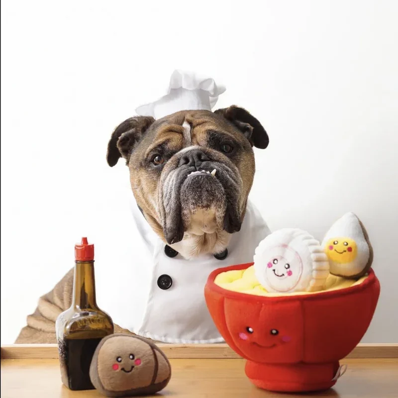 Peluche de flair Bol à ramen 🍜 - Jouet d'occupation pour chien – ZippyPaws® Burrow™