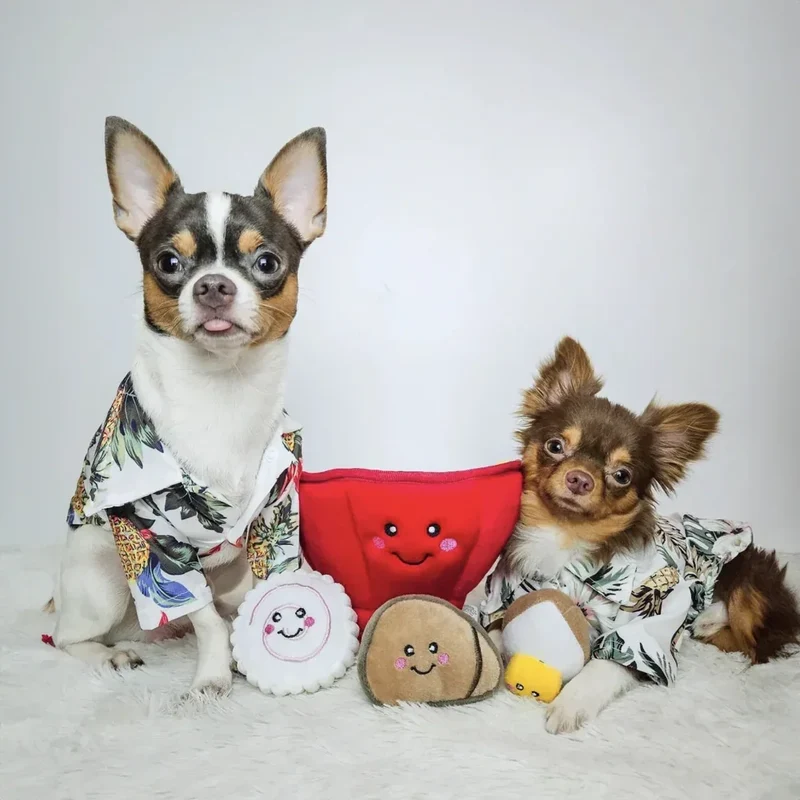 Peluche de flair Bol à ramen 🍜 - Jouet d'occupation pour chien – ZippyPaws® Burrow™