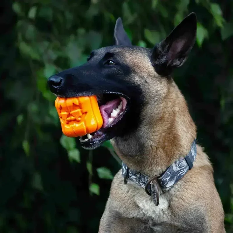 Jouet à remplir Citrouille Jack O'Lantern