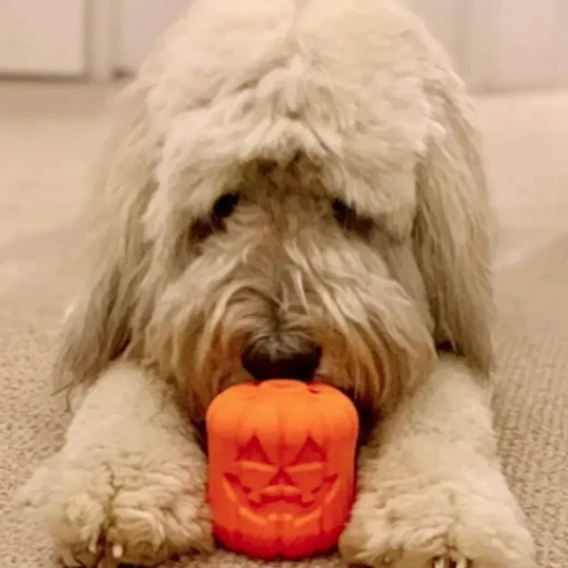 Jouet à remplir Citrouille Jack O'Lantern