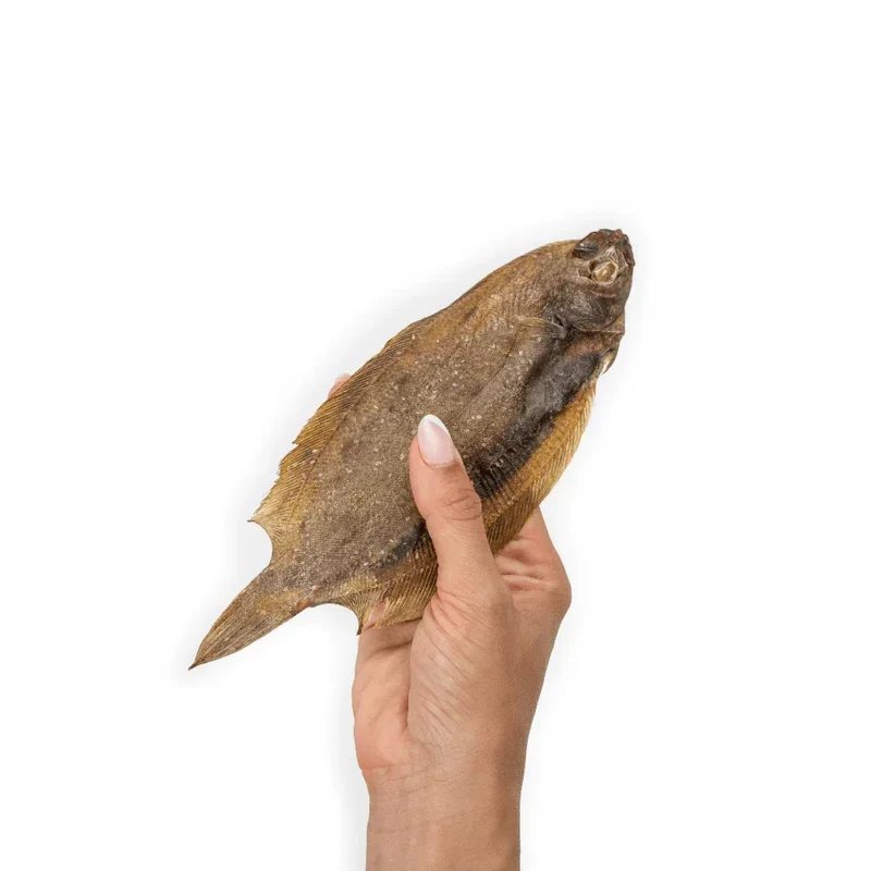 Limande Sole – Mastication gourmande pour chiens