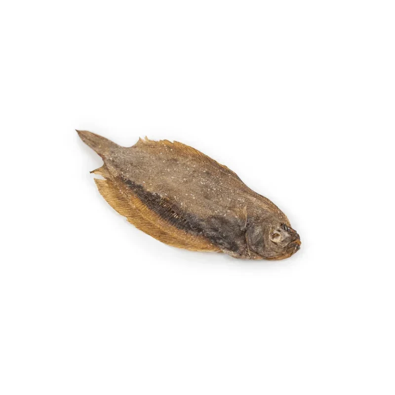 Limande Sole – Mastication gourmande pour chiens