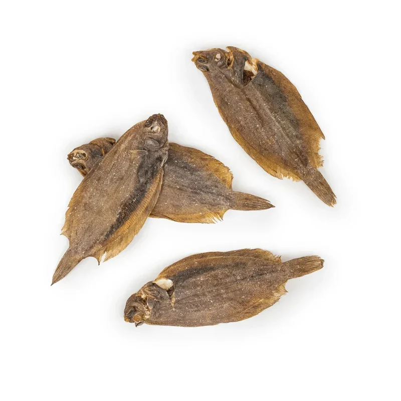 Limande Sole – Mastication gourmande pour chiens