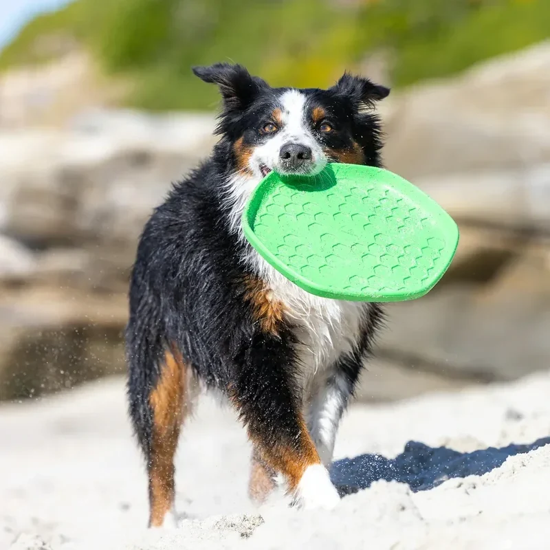 Hive Scent Disc – Frisbee à lancer et tapis de léchage – Jouet flottant pour chiens