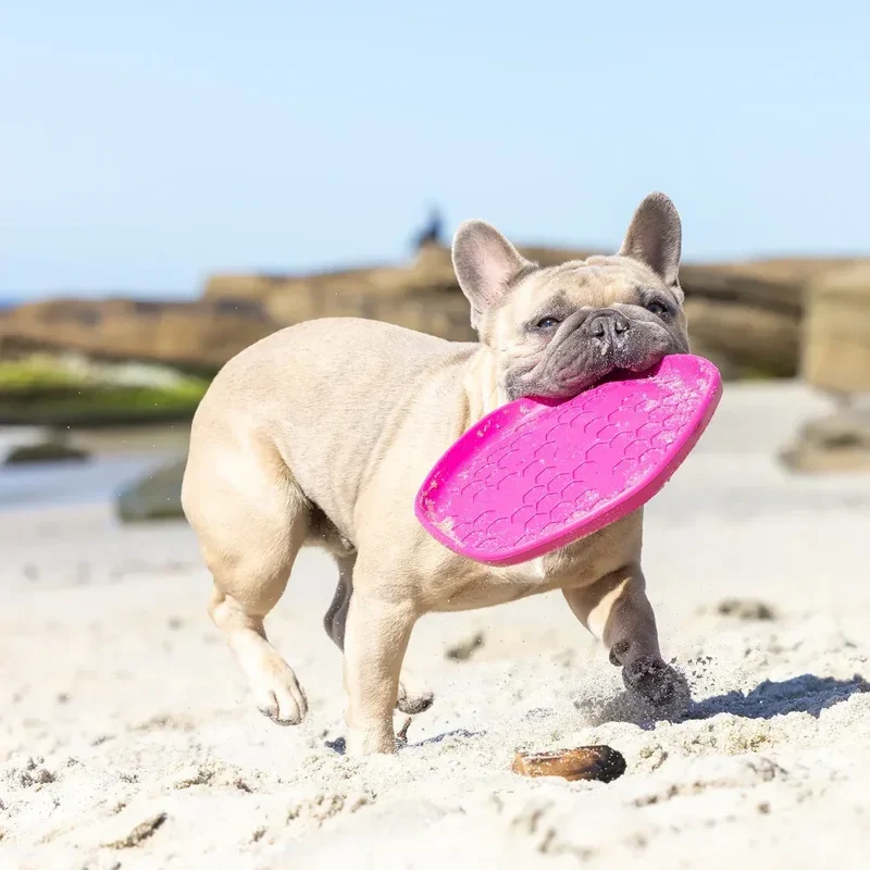 Hive Scent Disc – Frisbee à lancer et tapis de léchage – Jouet flottant pour chiens