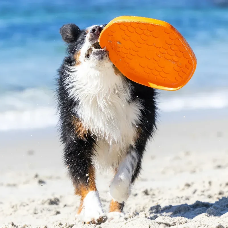 Hive Scent Disc – Frisbee à lancer et tapis de léchage – Jouet flottant pour chiens