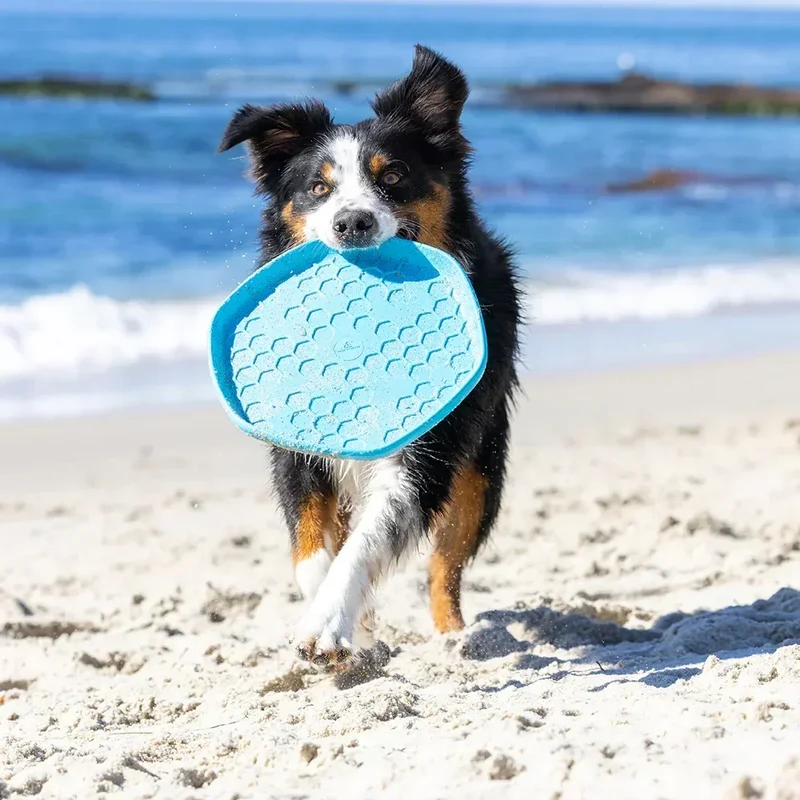 Hive Scent Disc – Frisbee à lancer et tapis de léchage – Jouet flottant pour chiens