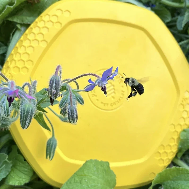 Hive Disc – Frisbee à lancer et tapis de léchage – Jouet flottant pour chiens