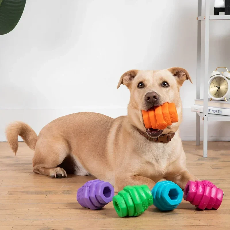 Hive Scent Chew Toy – Jouet à remplir flottant et parfumé pour chiens