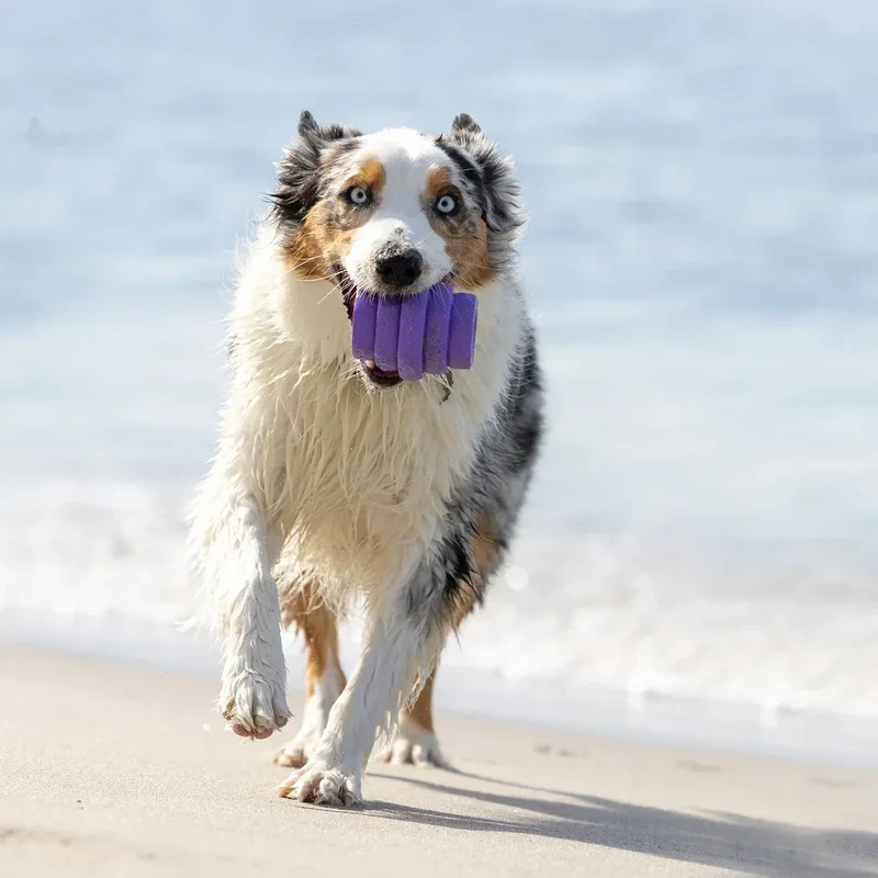 Hive Scent Chew Toy – Jouet à remplir flottant et parfumé pour chiens