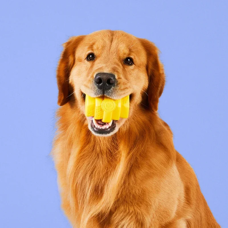 Hive Chew Toy – Jouet à remplir flottant pour chiens