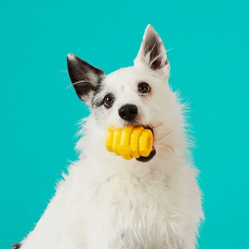 Hive Chew Toy – Jouet à remplir flottant pour chiens