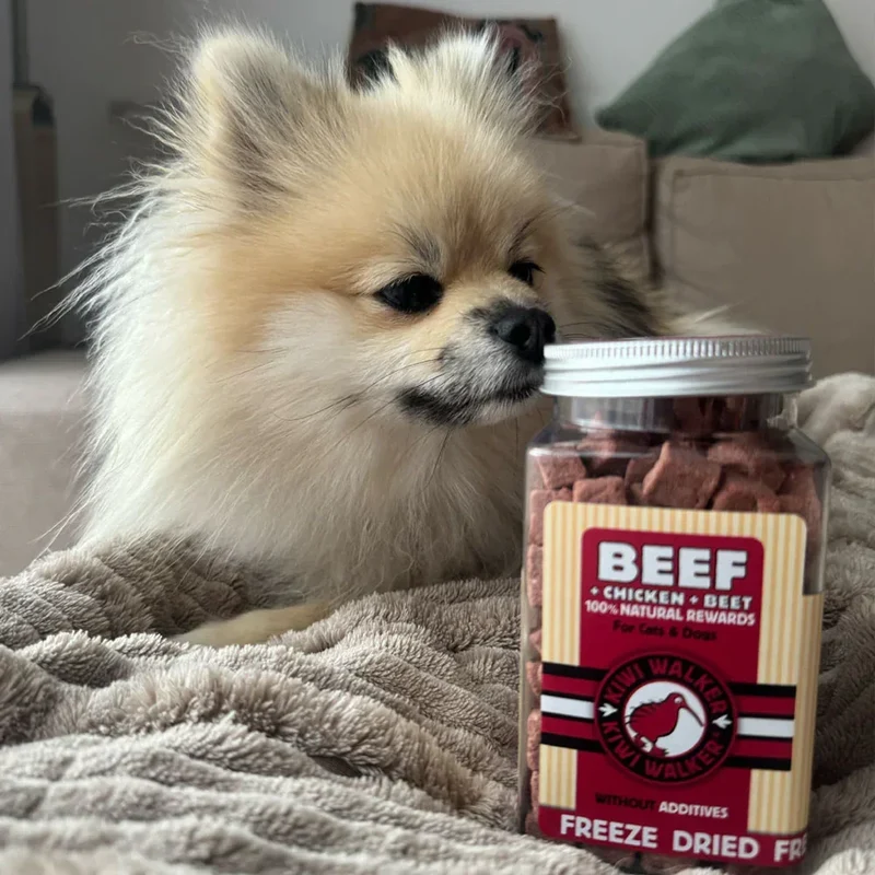 Friandises de travail pour chien & chat – Boeuf, poulet & betterave – Kiwi Walker – 90g