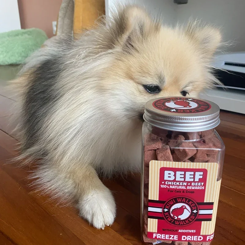Friandises de travail pour chien & chat – Boeuf, poulet & betterave – Kiwi Walker – 90g