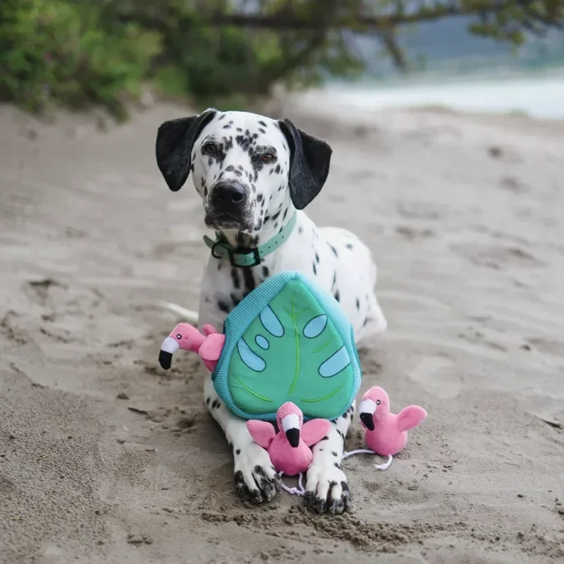 Peluche de flair Flamants rose et Monstera 🦩🌿 - Jouet d'occupation pour chien – ZippyPaws® Burrow™
