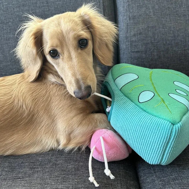 Peluche de flair Flamants rose et Monstera 🦩🌿 - Jouet d'occupation pour chien – ZippyPaws® Burrow™