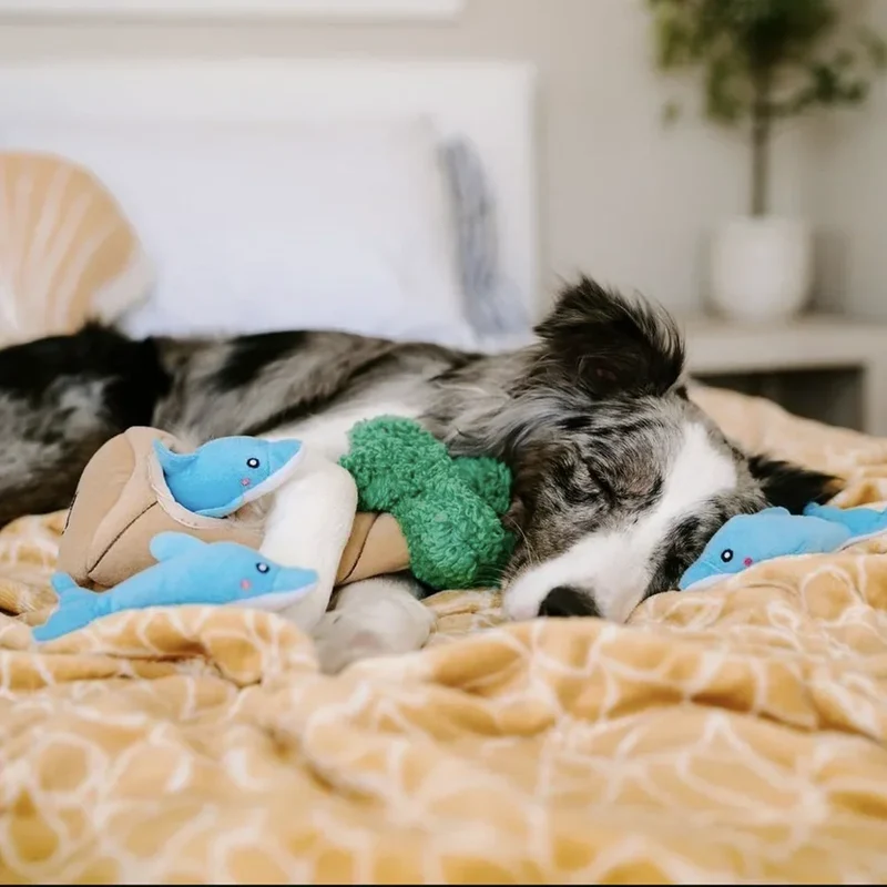 Peluche de flair Dauphins et palmier 🐬🌴 - Jouet d'occupation pour chien – ZippyPaws® Burrow™