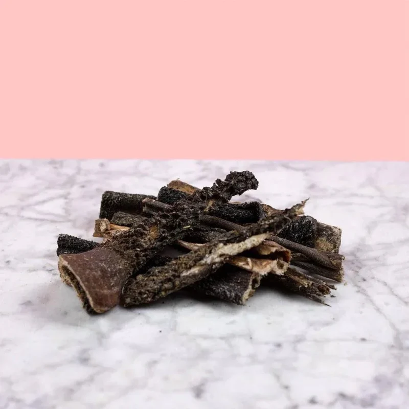 Panse de boeuf – Mastication gourmande pour chiens