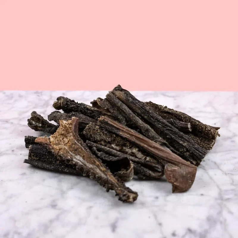 Panse de boeuf – Mastication gourmande pour chiens