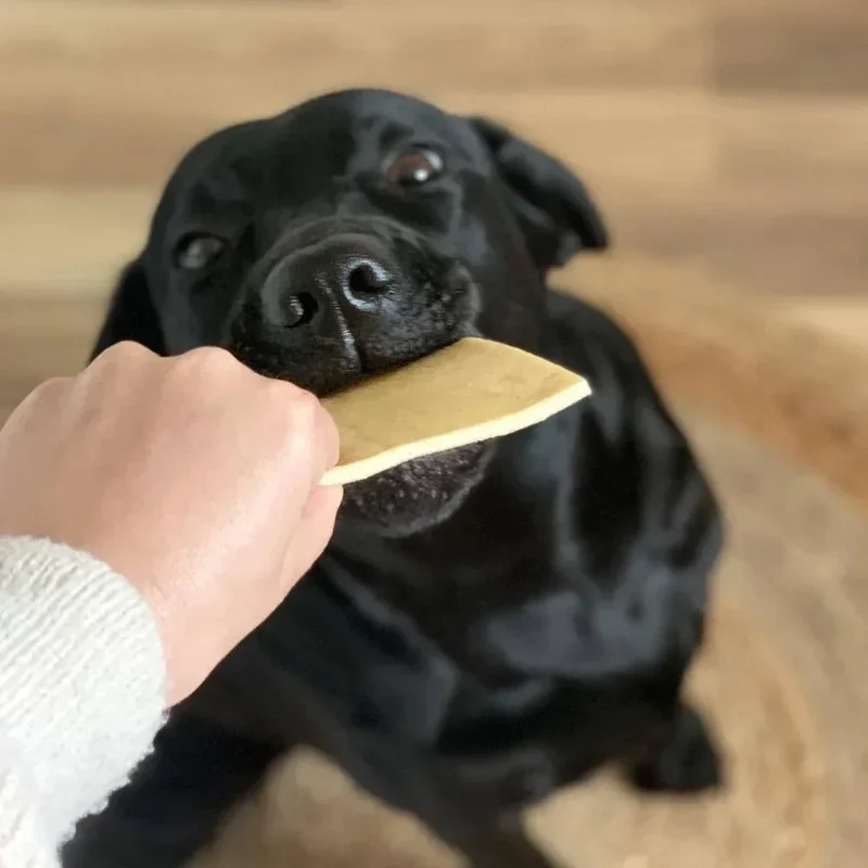 Chips de boeuf – Mastication gourmande extra pour chiens – 2 pièces