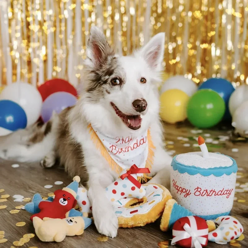 Peluche de flair Birthday Cake 🎂 - Jouet d'occupation pour chien – ZippyPaws® Burrow™