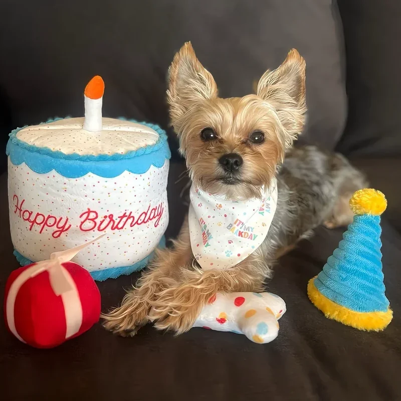 Peluche de flair Birthday Cake 🎂 - Jouet d'occupation pour chien – ZippyPaws® Burrow™